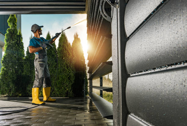 Best Rust Removal  in Eastpointe, MI